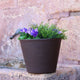 Round pot color PETUNIA