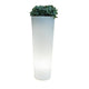 Round pot with light FICUS 80