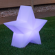 Christmas star Nova 45