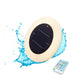 PAPAYA 30 Wireless solar pool light