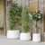 Round pot color CAMELIA 60