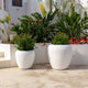 ARECA 60 Round Planter