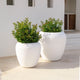 ARECA 60 Round Planter
