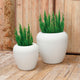 ARECA 60 Round Planter