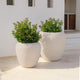 ARECA 60 Round Planter