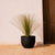 AZALEA 30 coloured round pot