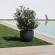 AZALEA 30 coloured round pot