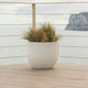 AZALEA 30 coloured round pot
