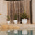 AZALEA 30 coloured round pot