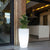 Lighted pot Bambú 70
