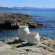 BEGONIA 60 Round Planter
