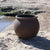 BEGONIA 60 Round Planter