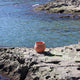 BEGONIA 60 Round Planter