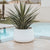 Round pot CAMELIA 60