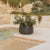 Round pot CAMELIA 60