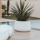 Round pot CAMELIA 40