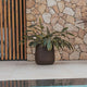 Long pot CAMELIA LARGE