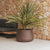 Round pot CAMELIA 40