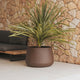 Round pot CAMELIA 40