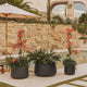 Round pot CAMELIA 40