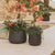 Round pot CAMELIA 60