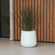 Round pot CAMELIA 60