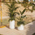 Round pot CAMELIA HIGH