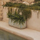 CIRCOOLAR ROUND POT CAMELIA