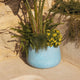 CIRCOOLAR ROUND POT CAMELIA