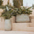 CIRCOOLAR ROUND POT CAMELIA
