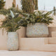 CIRCOOLAR ROUND POT CAMELIA