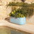 CIRCOOLAR ROUND POT CAMELIA