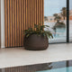 Round pot CAMELIA 60