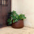 Round pot CAMELIA 80