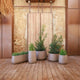 Round pot CAMELIA 80