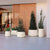 Round pot CAMELIA 80