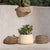 Round pot CAMELIA 80