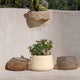 Round pot CAMELIA 80