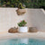 Round pot CAMELIA 80