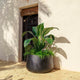 Long pot CAMELIA LARGE