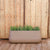 Long pot CAMELIA LARGE