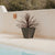 Square pot CAMOMILA 40