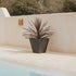 Square pot CAMOMILA 40