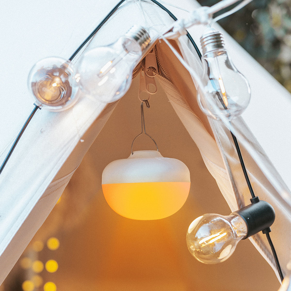 Rechargeable Light Bulbs
