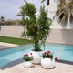 Round DALIA 30 flowerpot