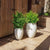 ALOE 45 Round Planter