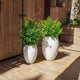 ALOE 45 Round Planter