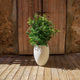 ALOE 45 Round Planter