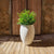 ALOE 45 Round Planter