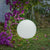 Illuminated ball Buly (various sizes)